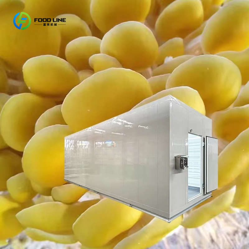 نظام زراعة الفطر الذكي المدعوم - مراجعة Agriculture Farming New Technology وسعره